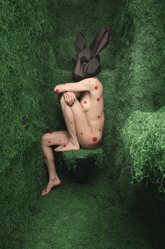 Laura's Oster Veröffentlichung - ID13984_01.jpg?v=1566310420