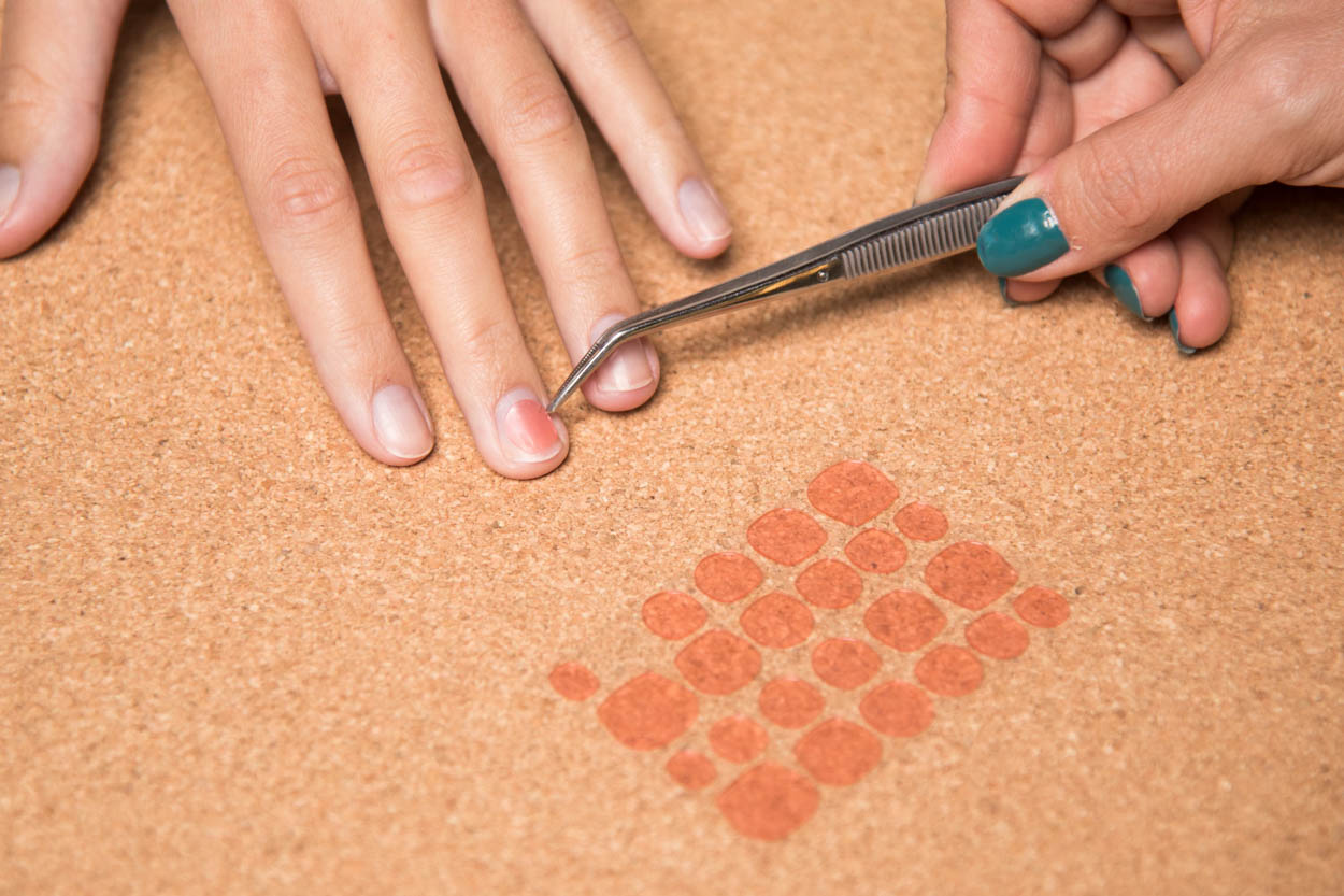 Press On what??? - press-on-what-----ID14396_02.jpg?v=1567695068